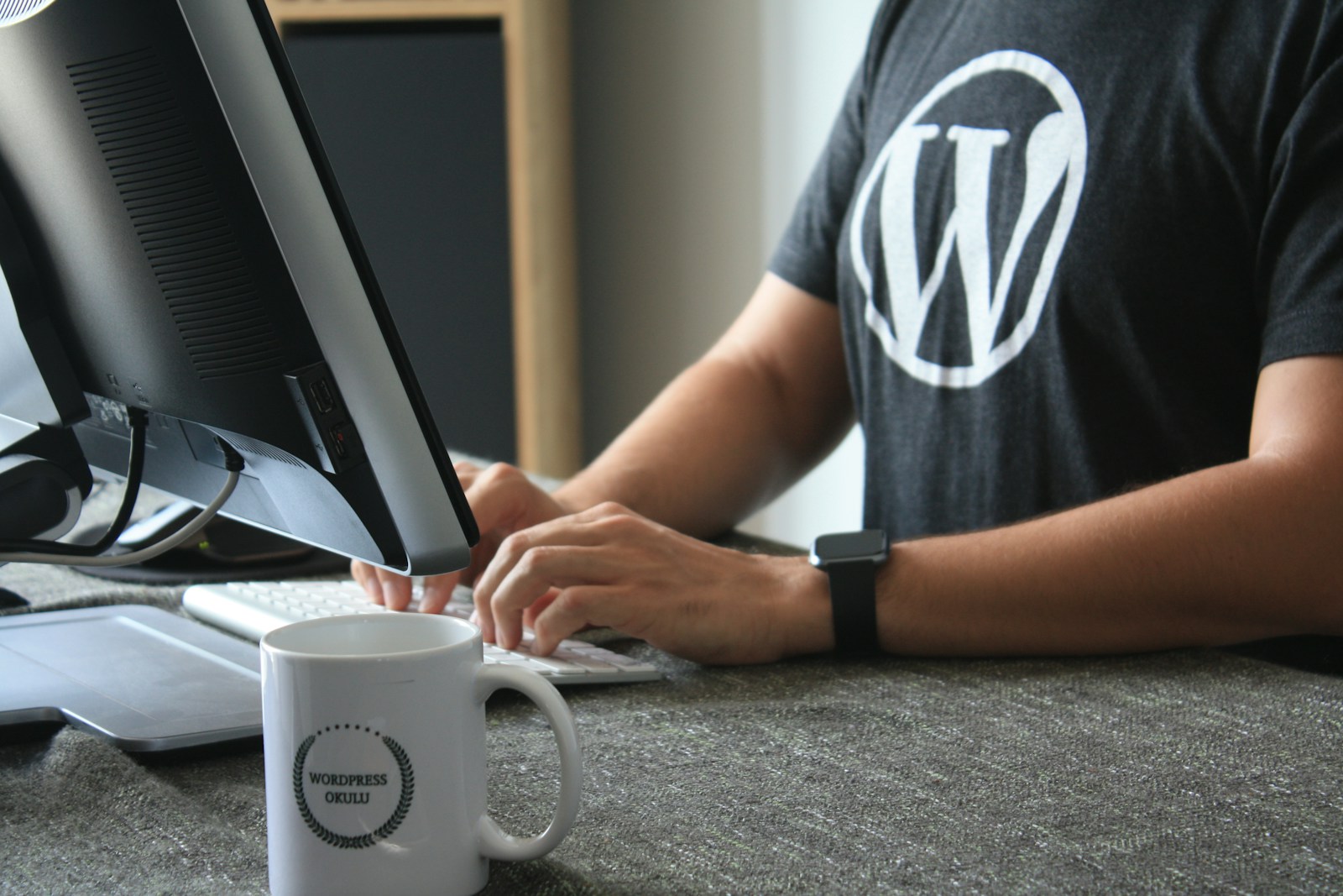 Defining WordPress Development